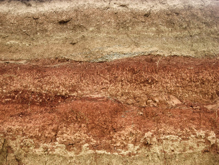 ancient soil