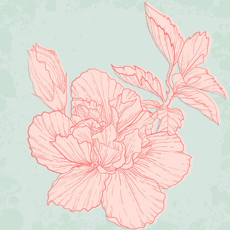 Hand drawing hibiscus flower  Elegant vector backgroundのイラスト素材