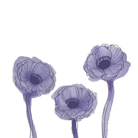 Anemone watercolor drawing. Elegant vector backgroundのイラスト素材