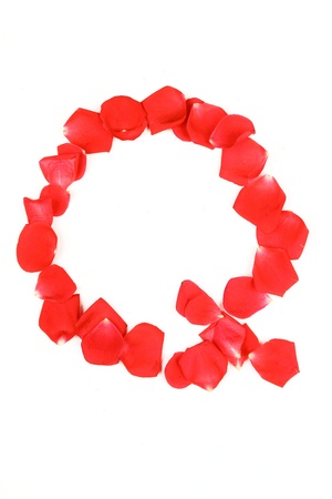 Beautiful made from red Rose petals Letter isolated on a white backgroundの写真素材