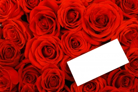 Red roses with a blank gift tag の写真素材