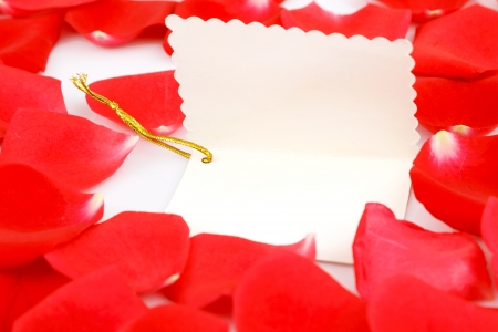 Red roses with a blank gift tag の写真素材