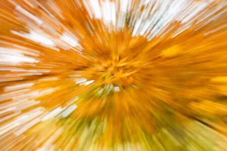 Autumn backgroundの写真素材