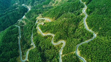 A crooked road in a bamboo grove. UAV shooting