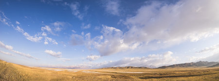 Autumn grassland