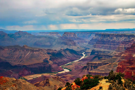 Grand Canyon in evening lightの写真素材
