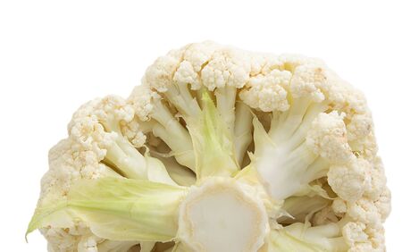 Backside view. Done with focus stackの写真素材