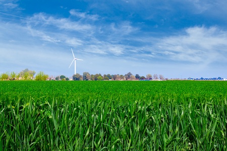 Shiloh Wind Power Plant is a wind farm located in the Montezuma Hills of Solano County, California, USA, very near to Birdの写真素材