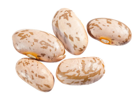 Pinto beans isolated on white background.
