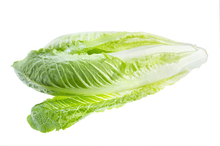 Green lettuce isolated on white background .の写真素材