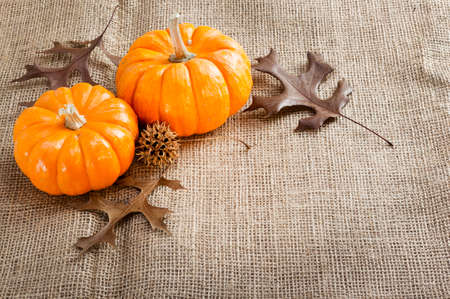 Orange mini pumpkins on the brown burlap .の写真素材