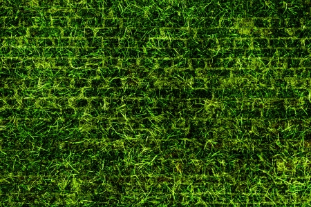 Green grass texture - brick styleの写真素材