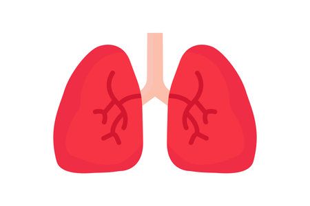 Lungs icon illustration. icon related to human organ. Flat icon style. Simple vector design editableのイラスト素材