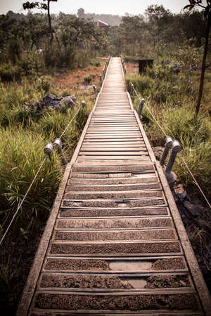 broken pathの写真素材