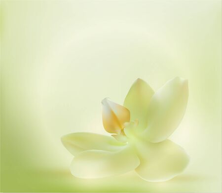 adobe illustratorのイラスト素材