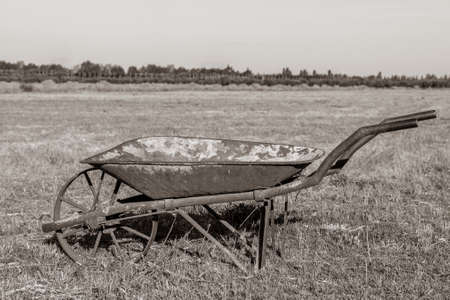 old sheet metal wheelbarrow in field. (black and white photo)の写真素材
