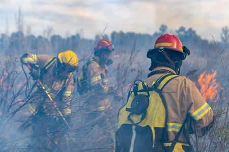 Firefighters put out a fire in the forestの写真素材