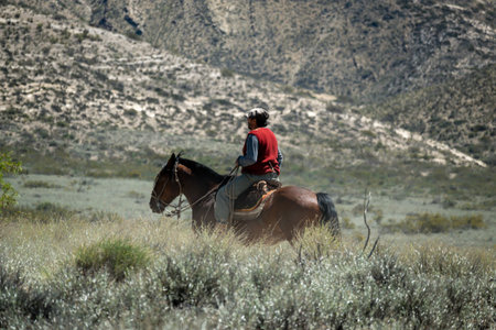 Neuquen, Argentina, November 21, 2021; Argentine gaucho on horseback, in patagonia.のeditorial素材