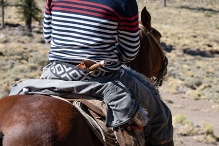 Gaucho on horseback in Patagonia, Argentinaの写真素材