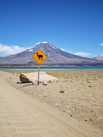 Vertical 4x4 journey: Exploring the volcanic lava fields of Maipo Volcano