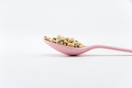 Close up white beans on any object in isolate backgroundの写真素材