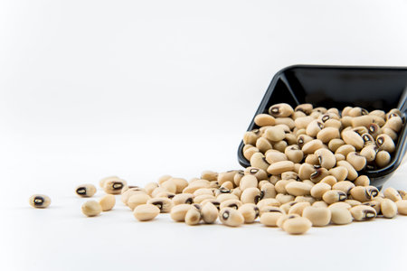 Close up white beans on any object in isolate background