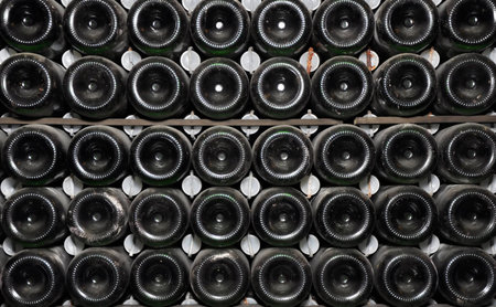 Dusty bottle of champagne on the shelf in the factory of sparkling wines