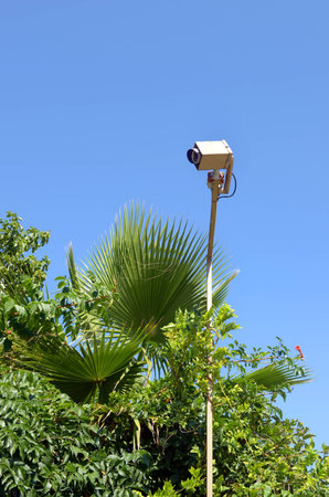 Outdoor surveillance camera against a tropical park