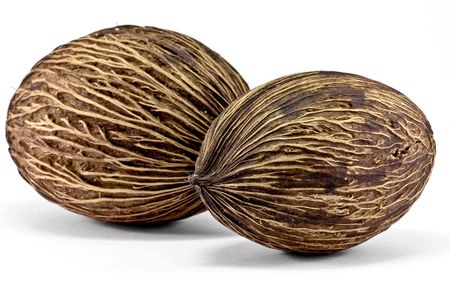 Coconuts in white isolated backgroundの写真素材