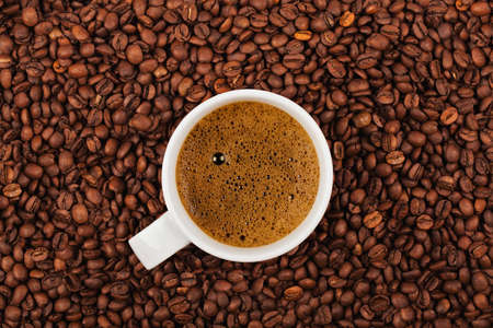 White cup full of coffee placed on coffee cropsの写真素材
