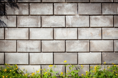 Urban grungy street wall, may be used as background or textureの写真素材