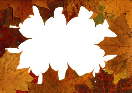 A frame made from autumn leaves, the inside is isolated, great for text.の写真素材
