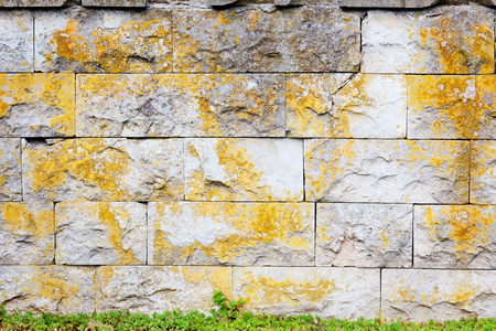 Urban grungy street wall, may be used as background or textureの写真素材