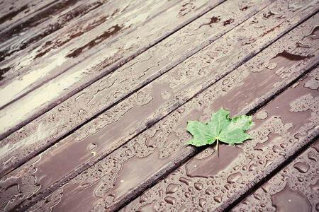 Wet wooden floor during rain with a fallen leaf, abstract backgroundの写真素材