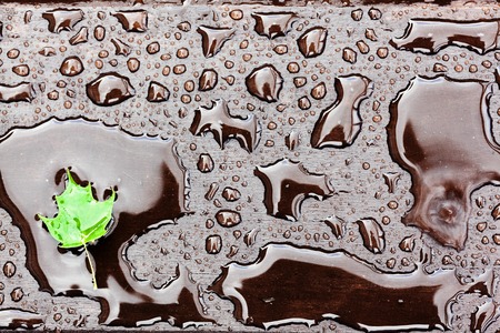 Wet wooden floor during rain with a fallen leaf, abstract backgroundの写真素材