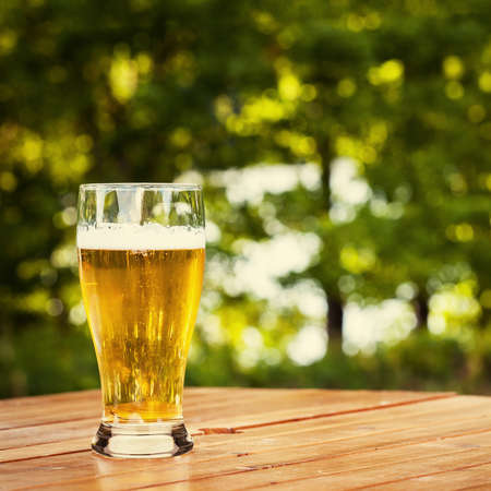 Glass of beer in natureの写真素材