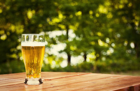 Glass of beer in natureの写真素材
