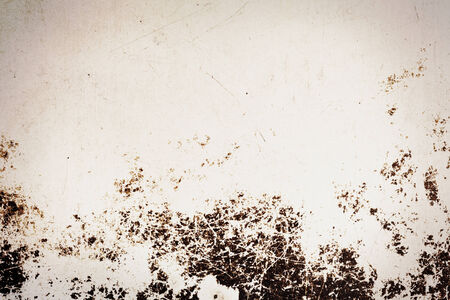 Abstract grunge painted background, ideal for designの写真素材