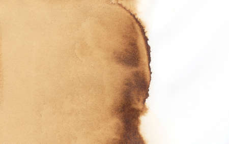 Some beverage spills over paper, scanned in hih resolutionの写真素材