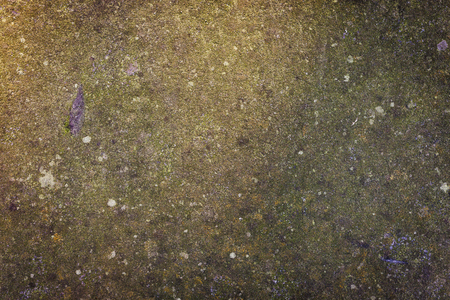 Stone covered in moss texture, high detail, close up shotの写真素材