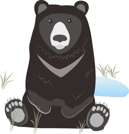 Taiwan Black Bearのイラスト素材