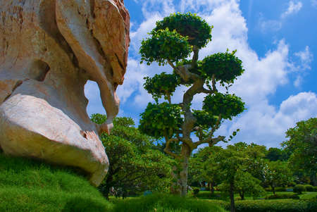 Very green botanical gardenの写真素材