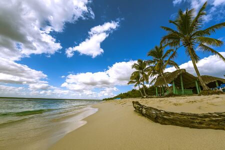 Very beautiful natural beach in Caribbeanの写真素材