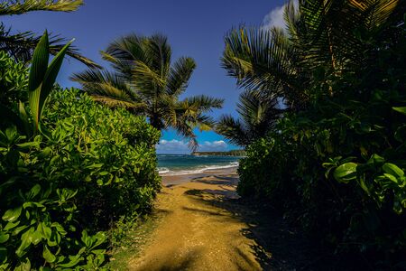 we need a hidden places for relaxの写真素材