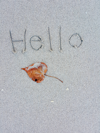 Dry leaves and handwritten "Hellow "on sand beachの写真素材