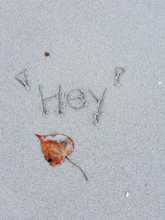 Dry leaves and handwritten "Hey "on sand beachの写真素材