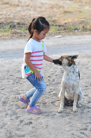 The girl with brown and white dog in the field in rural Thailand. on a background of blurredの写真素材