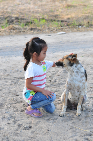 The girl with brown and white dog in the field in rural Thailand. on a background of blurredの写真素材