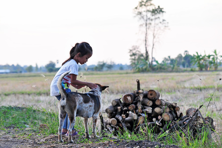 The girl with brown and white dog in the field in rural Thailand. on a background of blurredの写真素材
