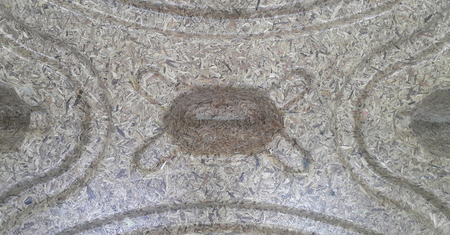 skin taxture and taxture detail of surface is identity backgroundの写真素材